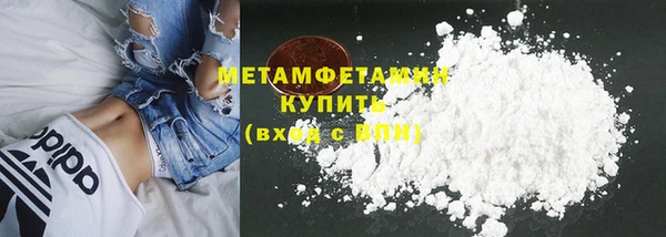 гидра Богородицк