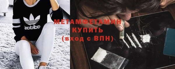 гидра Богородицк