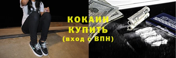гидра Богородицк