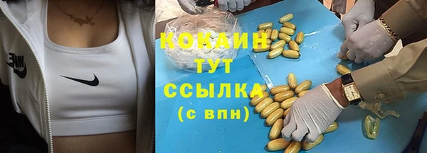 молекула духа Богородск