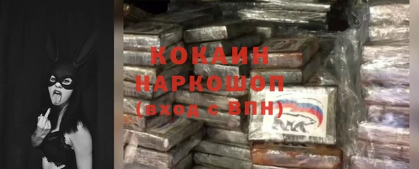 гидра Богородицк