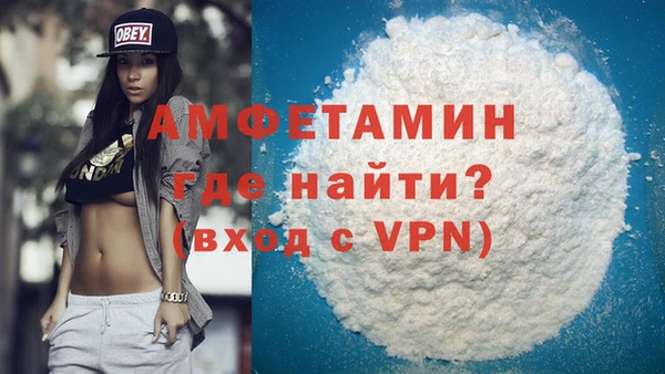 гидра Богородицк