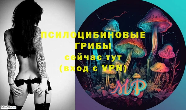 молекула духа Богородск