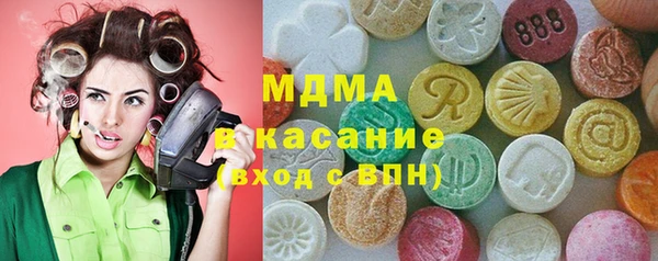 гидра Богородицк