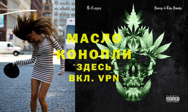 гидра Богородицк