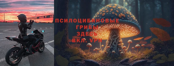 прущая мука Богданович