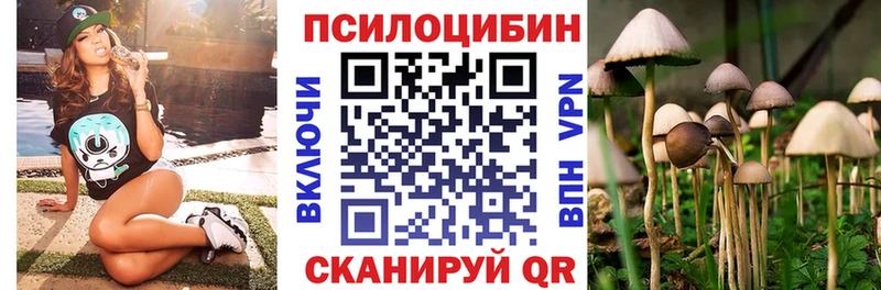 kraken зеркало  Наро-Фоминск  Псилоцибиновые грибы мицелий 