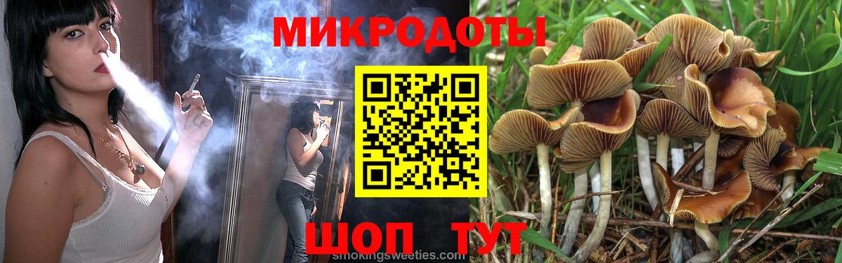 Галлюциногенные грибы Psilocybine cubensis Наро-Фоминск
